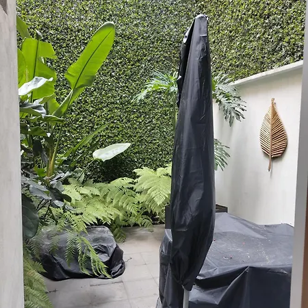 Zamora By Mr W Mexico City Room photo